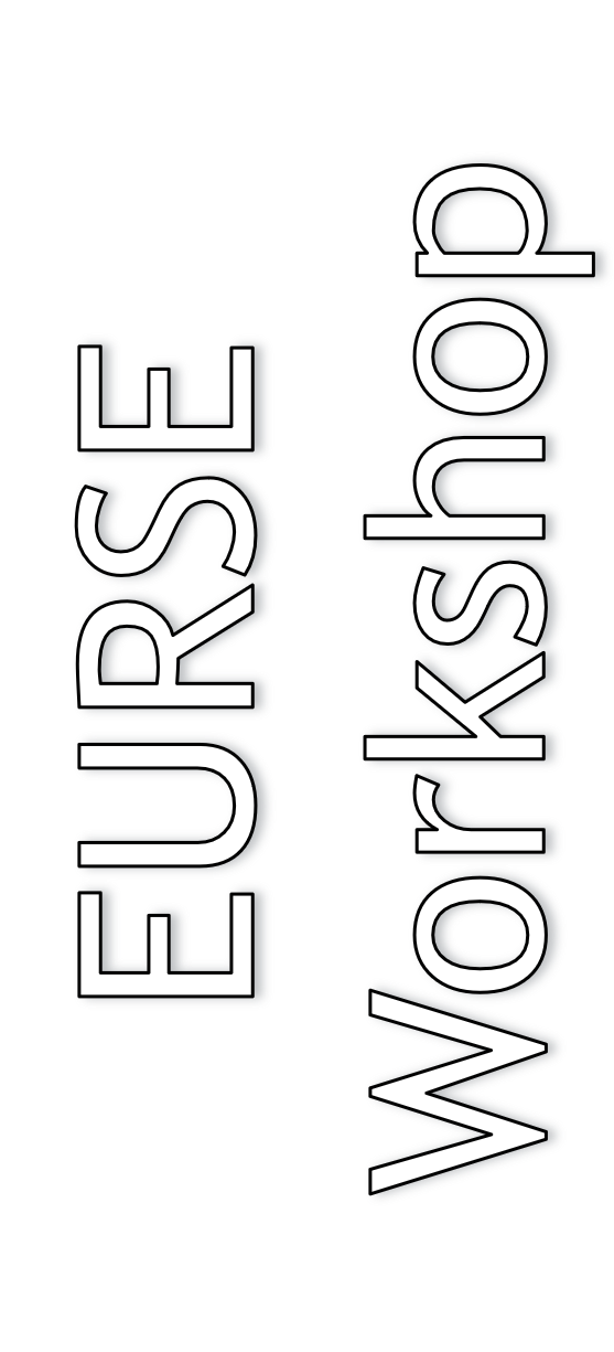 EURSEWorkshop
